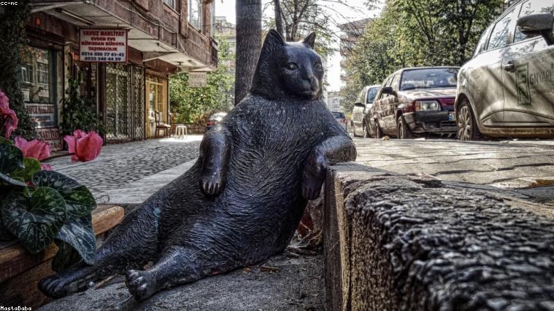 torrentkitty 洪流小猫磁力秒搜时代的资源检索指南